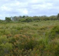 Pine Ridge Conservation Park - Accommodation Bookings