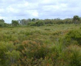 Pine Ridge Conservation Park - Accommodation Bookings 0