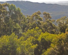 Conondale QLD Accommodation Bookings