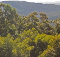 Conondale National Park - Accommodation Bookings