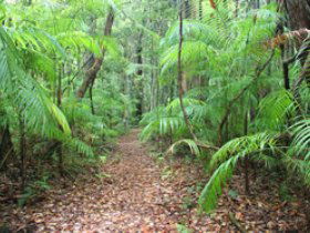 Mapleton QLD Accommodation Bookings