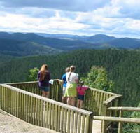 Kenilworth Forest Reserve - Accommodation Bookings