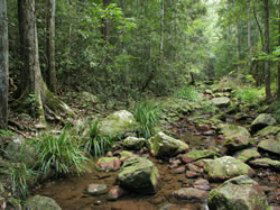 Amamoor State Forest - Accommodation Bookings 0