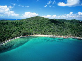 Noosa Heads Coastal Track - Accommodation Bookings 0
