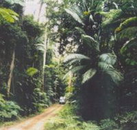 Conondale Great Walk - Accommodation Bookings