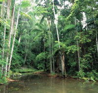 Mount Allan Trail - Accommodation Bookings