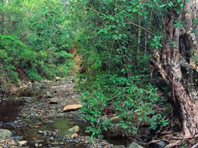 Mudlo National Park - Accommodation Bookings 0