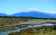 Eubenangee Swamp National Park - thumb 0