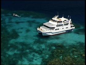 Fish Bowl Dive Site - Accommodation Bookings 0