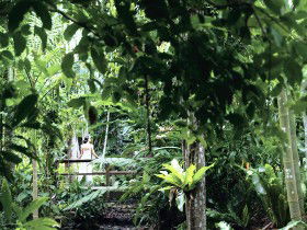 Flecker Botanic Gardens - Accommodation Bookings 0