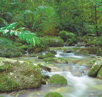 Mossman Gorge Daintree National Park - Accommodation Bookings