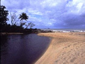 Russell River National Park - Accommodation Bookings 0