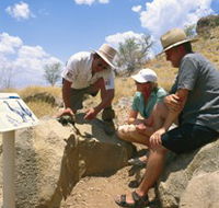 Riversleigh Fossil Fields - Accommodation Bookings