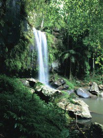 Tamborine QLD Accommodation Bookings