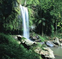 Curtis Falls Joalah Section - Accommodation Bookings