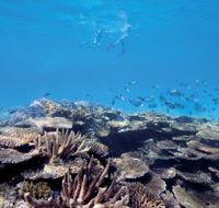 Australian Institute of Marine Science - Accommodation Bookings