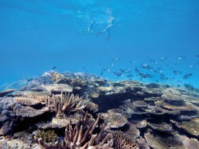 Australian Institute Of Marine Science - Accommodation Bookings 0
