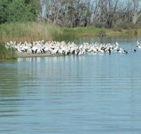 Lake Ross - Accommodation Bookings