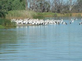 Lake Ross - Accommodation Bookings 0