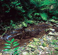 Wompoo Walk - Accommodation Bookings