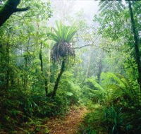 Lamington National Park Green Mountains Section - Accommodation Bookings