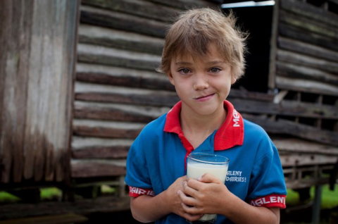 Maleny Dairies - Accommodation Bookings 2