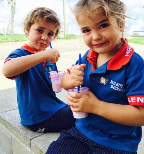 Maleny Dairies - Accommodation Bookings 3