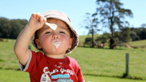 Maleny Dairies - Accommodation Bookings 5