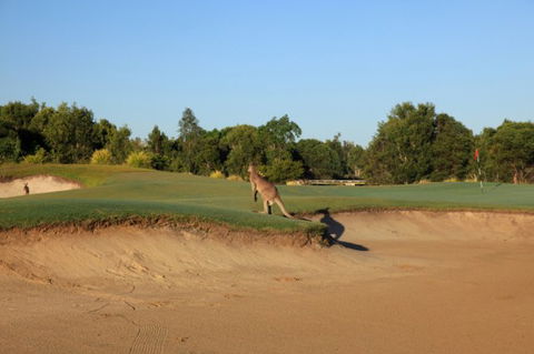 Pelican Waters Golf Club - Accommodation Bookings 6