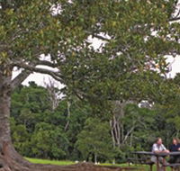 Ravensbourne National Park - Accommodation Bookings