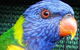 Fraser Coast Wildlife Sanctuary - thumb 0