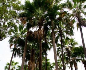 Palm Tree Creek - Accommodation Bookings 0