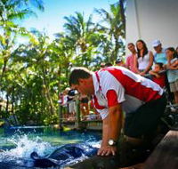 The Living Reef on Daydream Island - Accommodation Bookings