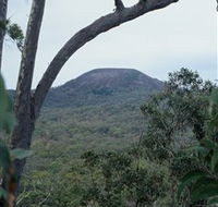 Mount Fox - Accommodation Bookings