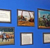 Town Hall Photographic Display - Accommodation Bookings