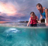 Tangalooma Island Resort