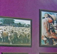 Charleville Photographic Display - Accommodation Bookings