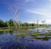 Tyto Wetlands - Accommodation Bookings