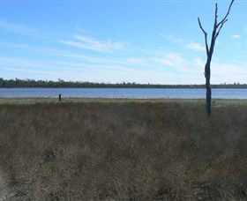 Lake Murphy Conservation Park - Accommodation Bookings 0