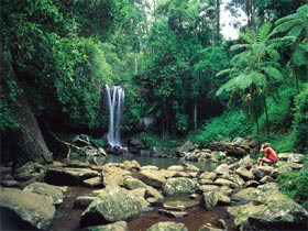 Tamborine National Park - Accommodation Bookings 0