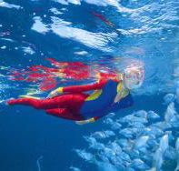 Outer Rocks Dive Site - Accommodation Bookings