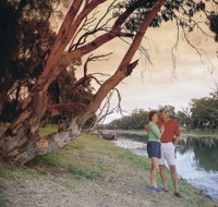 The Looking Glass - Accommodation Bookings