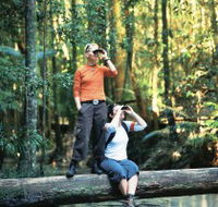 Birdwatching on the Fraser Coast - Accommodation Bookings