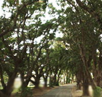 Mango Avenue - Accommodation Bookings