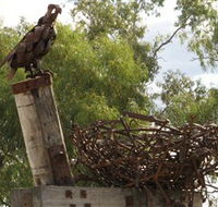 Blackall Sculpture Trail - Accommodation Bookings