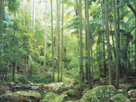 Python Rock - Accommodation Bookings 0