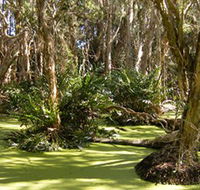 Arkarra Lagoons and Tea Gardens - Accommodation Bookings