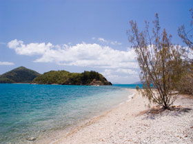  Accommodation Bookings