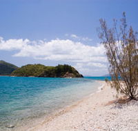 Paddle Bay Track and Campsite - Accommodation Bookings
