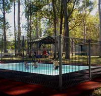 Teddington Weir and Picnic Reserve - Accommodation Bookings